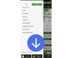 1-and-1 How to Download Betway App in Kenya?